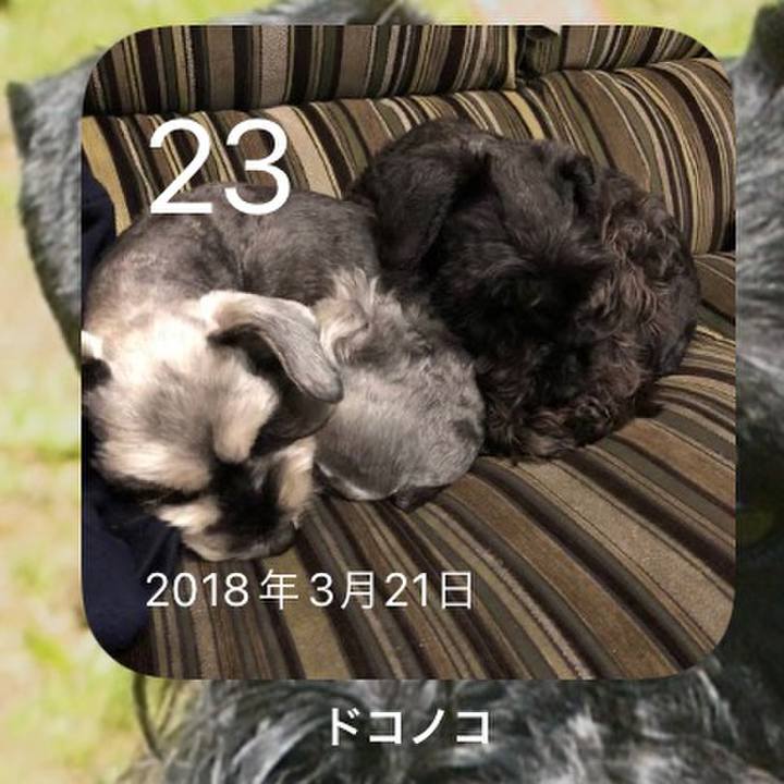 84be167e b80e 4715 9bc1 e67807ee72fd 1648011570817