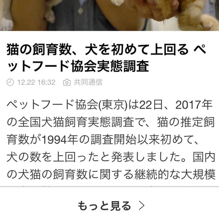 84be1c08 becd 4548 aa8e 04fbc5e6ffee 1513941577043