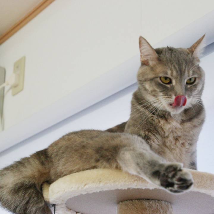 84be2073 acd5 4176 a9d5 3654a0474fd3 1513647432663