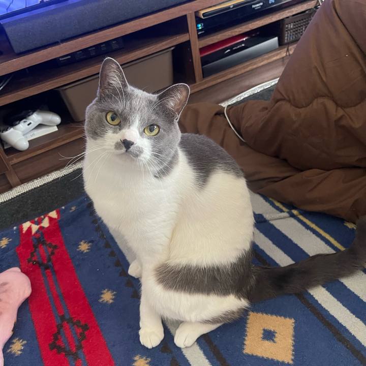 84be3c4b bbca 4c90 a914 0423c3e5369f 1678585668192