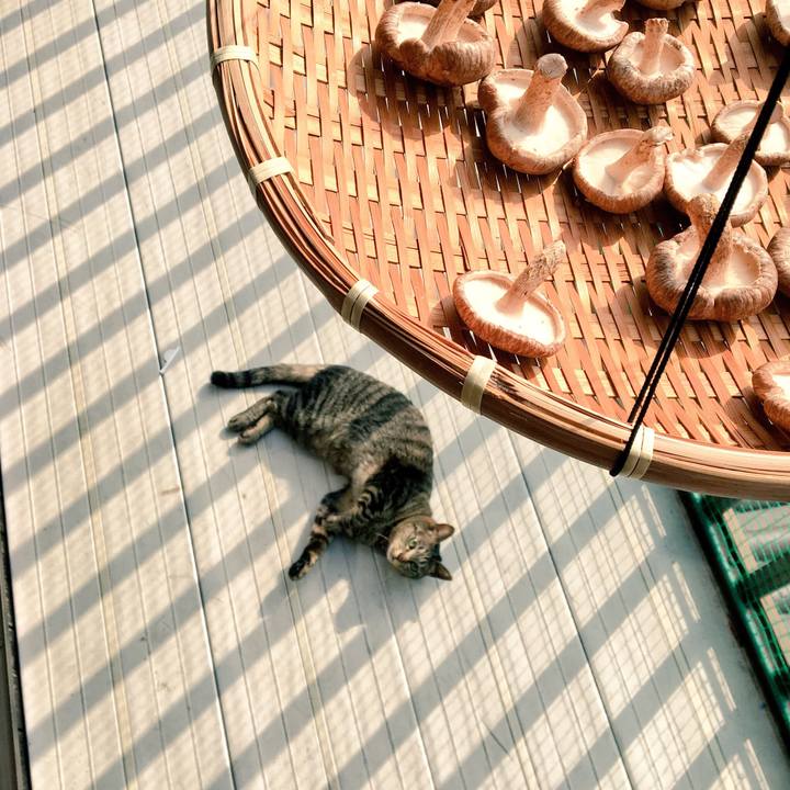 84be3fb3 3f59 4e65 8184 f696bbd0d91e 1522627511376