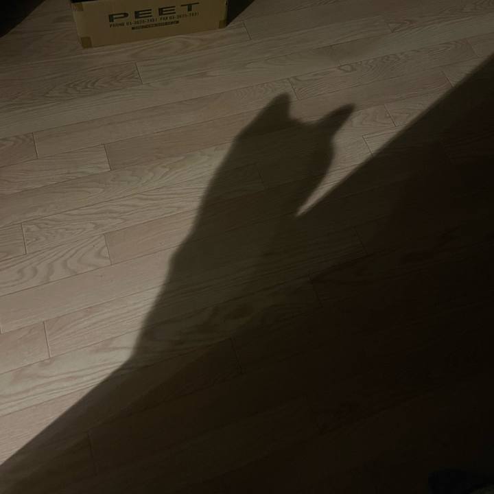 84be49a6 dfd9 4d6d bc9c f87f05b6eae6 1710932909194