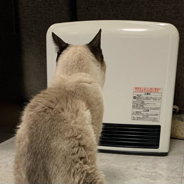 84be4d47 8e4f 41b7 8030 a24028600f76 1610403977177