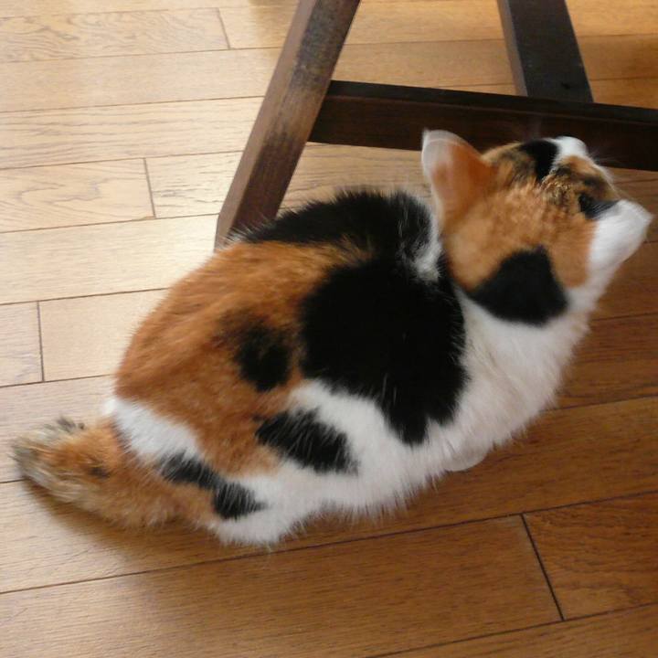 84be833c 9210 4eb4 b3a1 f9562dbd4579 1581331125189