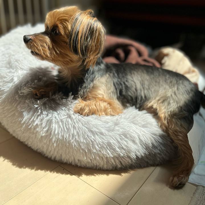 84be86d7 5504 4e77 b83e dafc7fb48c5d 1652269798645