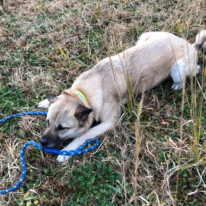 84be92e0 d6c3 4bfd a6c2 b5d9056fd9ea 1550750863556