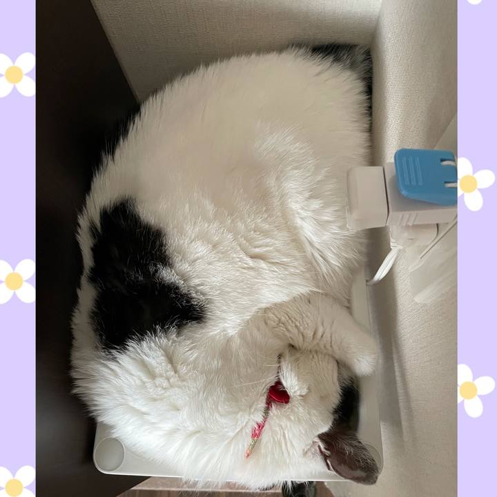 84be992c 4b02 417d b6cf 9761151f8553 1622263359240