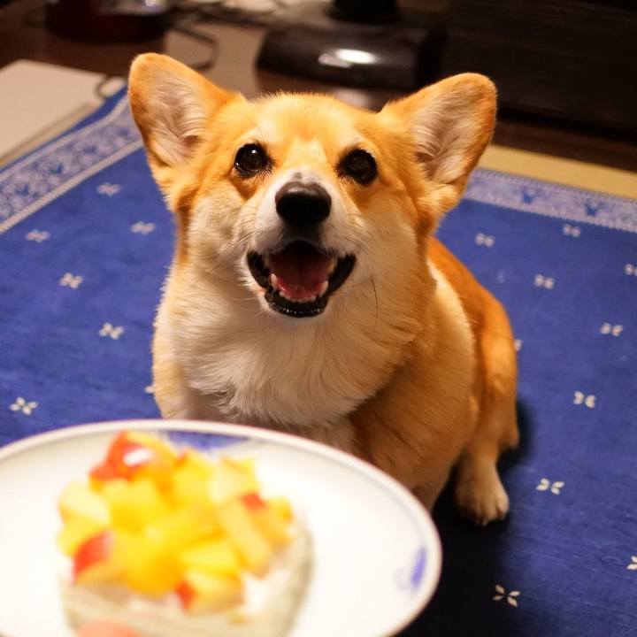 84bed155 2dce 42d9 a3f9 cb22b9295c84 1621257287037