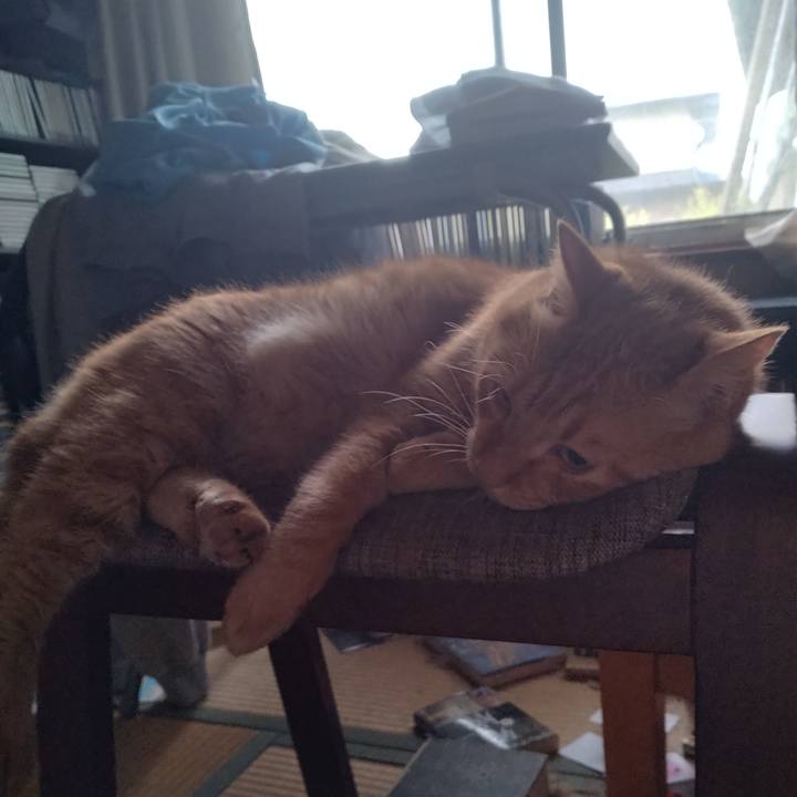 84bee0cd 1dcf 463c 8e4f b7f11f9a10de 1724623667077