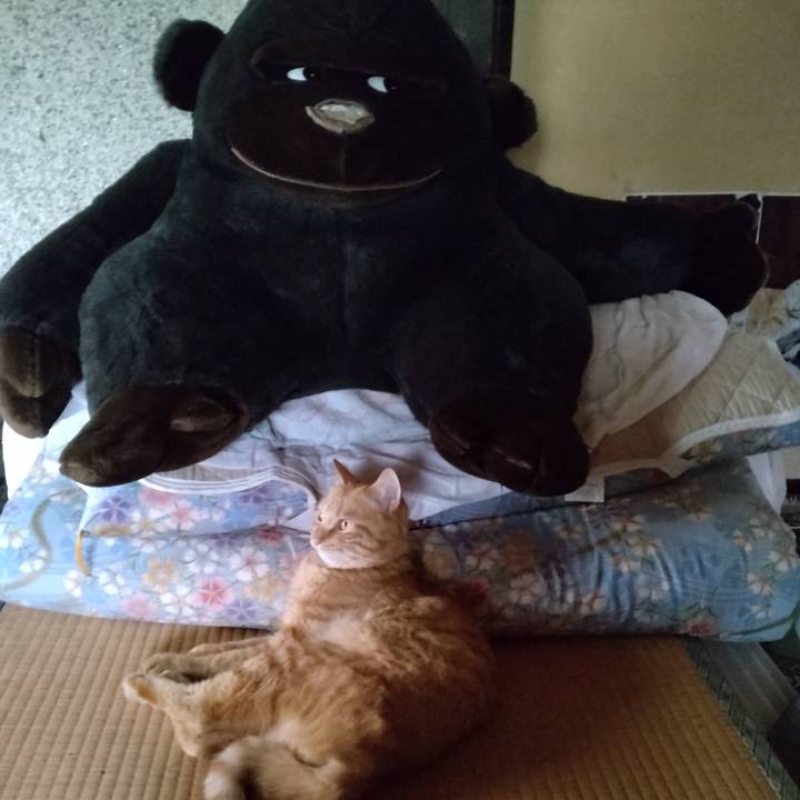 84beefe5 e843 43d4 a3b9 bc0c82d36db7 1664249204819