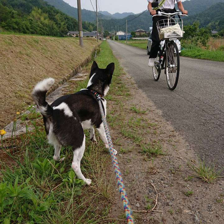 84bf04ae 9766 4445 a816 99d5fb99d4c5 1560900186932