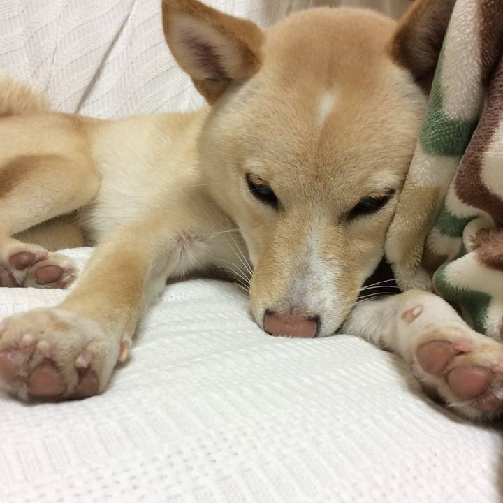 84bf05a1 c719 448d 900d c41a9a0f18a0 1509279000702