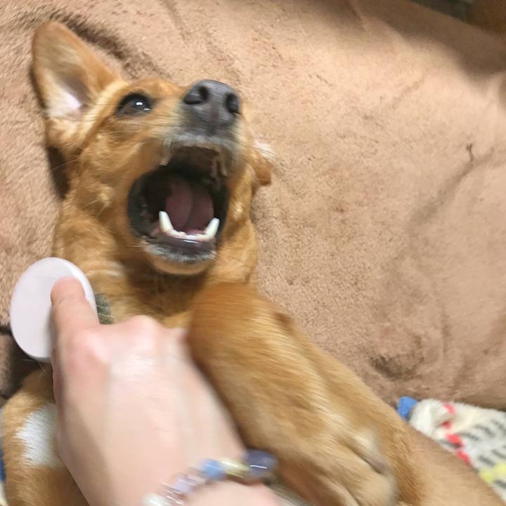 84bf079e 4142 437d b393 0af1f0e95e80 1526994532499