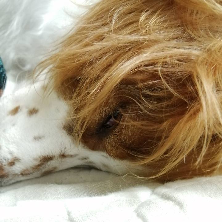 84bf273a f88f 46c1 ac15 d43d375737f8 1569886988574