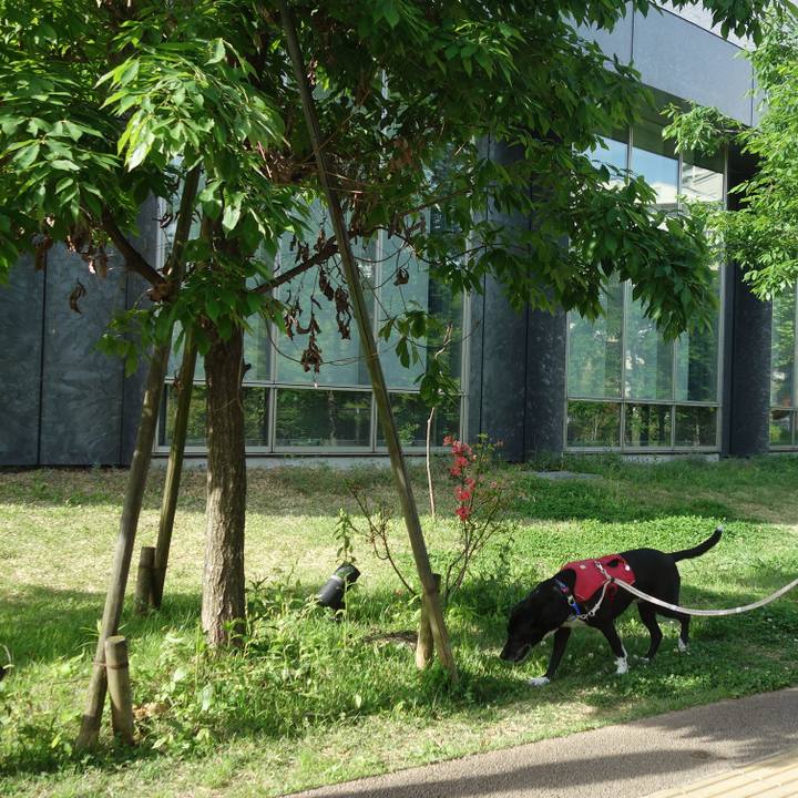 84bf3ca9 c611 4a81 ba47 5ce8fbd291ac 1682730015788