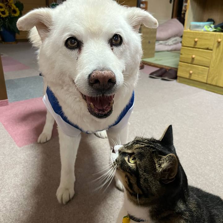 84bf3e53 f47b 4ab7 b8f9 3a22d212f83c 1759966013667