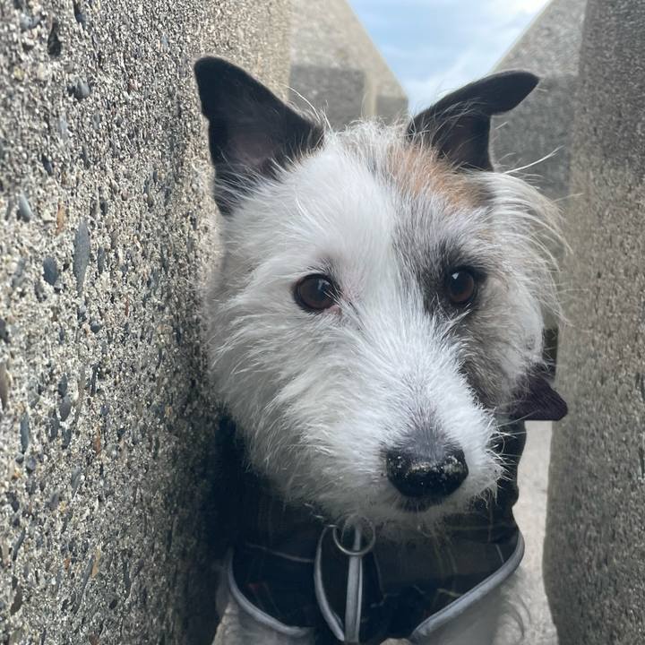 84bf6a05 dbae 42db b81f 3d0cf6fb6dfc 1743379351540