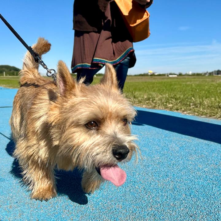 84c02ca1 012e 4f1f b19a 2fa1dc3d5f73 1731159553025