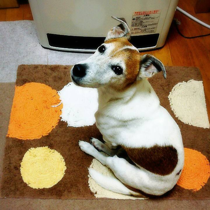 84c06884 20e4 44bc b399 22097de4628c 1512131650826