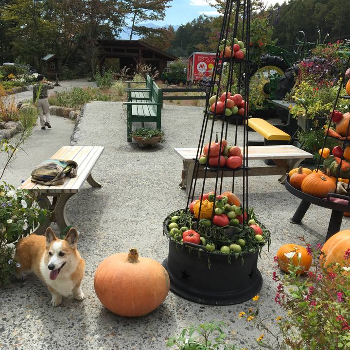 84c06dbf 7287 42e1 828c 99594d0fc1d0 1540693065637