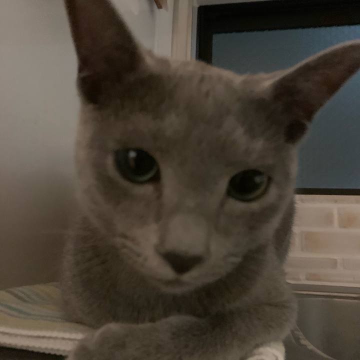 84c07053 8329 4bee bc46 f0a0d891de32 1574974330494