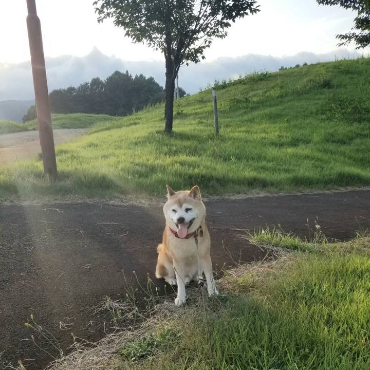 84c0760f f795 41ac 9c53 10b488e8521d 1722847547624