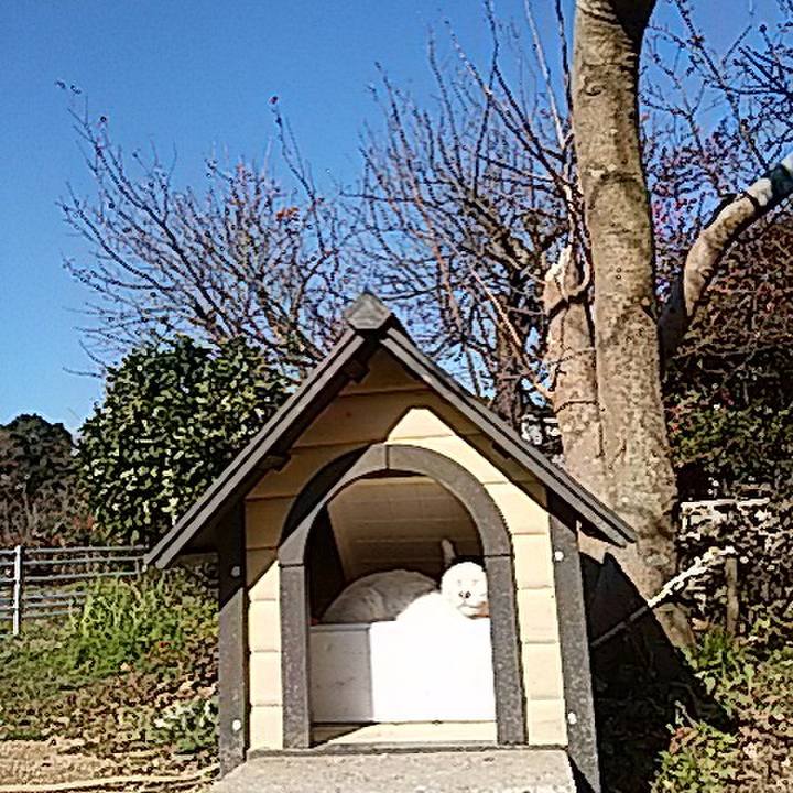 84c0847e a072 47ba 83a6 0bfb0e65b5c8 1513330634425