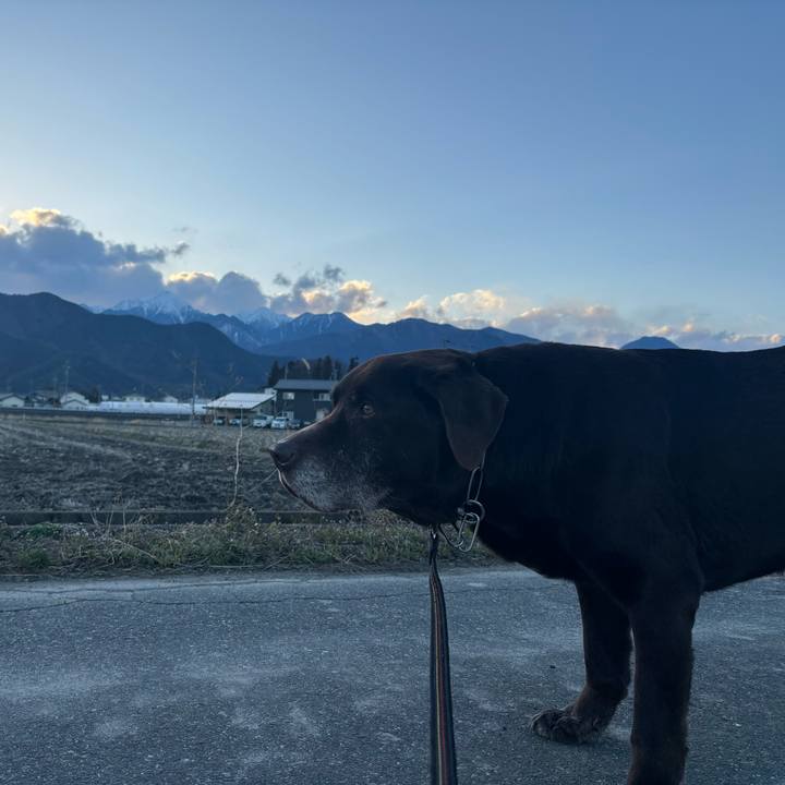 84c0ae60 75e2 4035 98b7 5212fadcb962 1774003972782