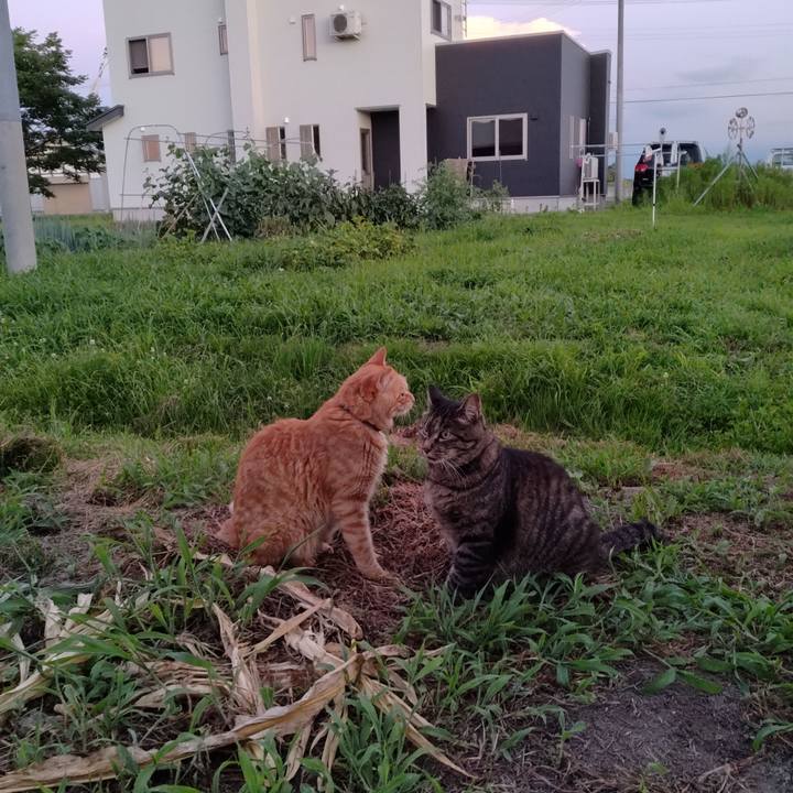 84c0c8f6 3dc8 4aaf 82cf 2915dbb11eb9 1690368159501