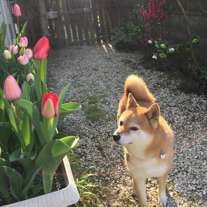 84c0c9e0 21cf 4f88 b972 7b0b41c5c939 1522708742373