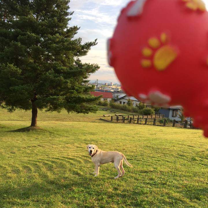 84c0d9e7 dfba 4bbe b177 49b6fda131f8 1590275776052