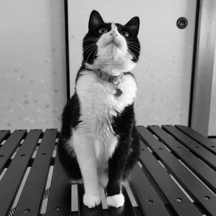 84c164d6 7c84 4c8e bcbb 2f9105933553 1619705645307