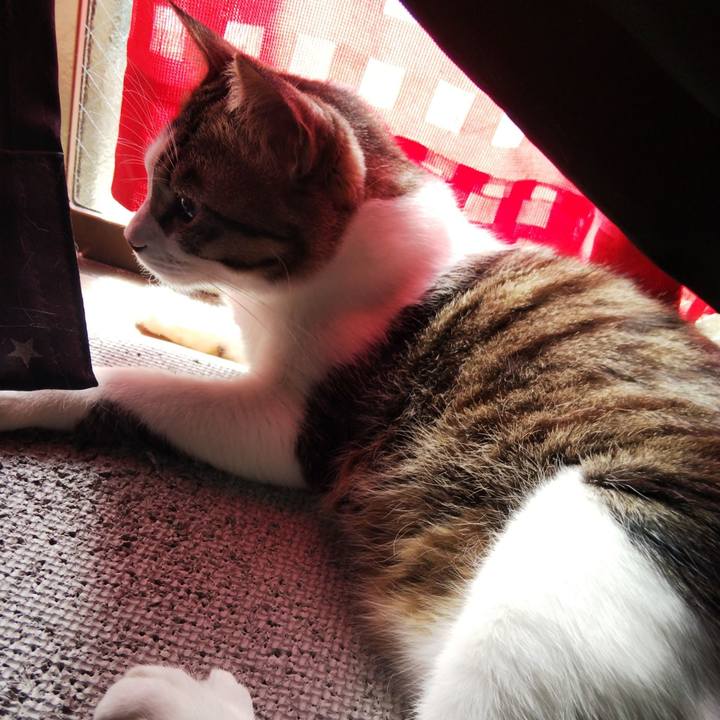 84c1b815 fea0 450e bd09 22bf8f9b3c1b 1646357836307