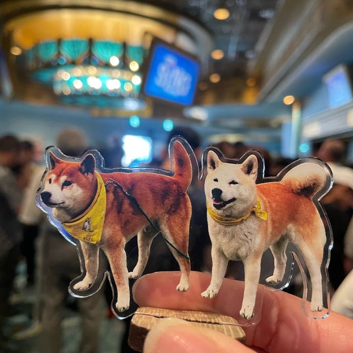 84c222d5 96e4 452f ad98 c8f579313161 1755006633102