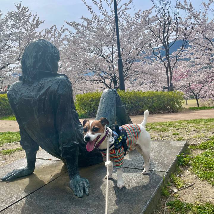 84c27c3d 2747 4d9e a22d e6ba9bbb327b 1744963740264