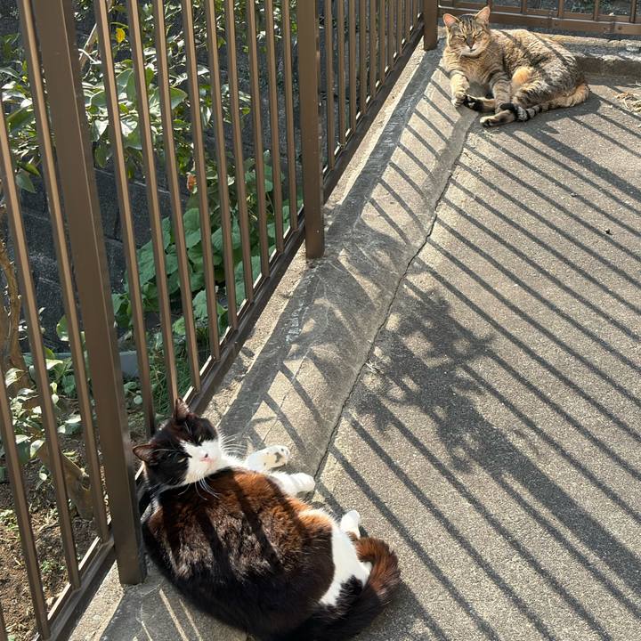 84c28776 4a03 4085 a51b e8475af15dc5 1774081313885