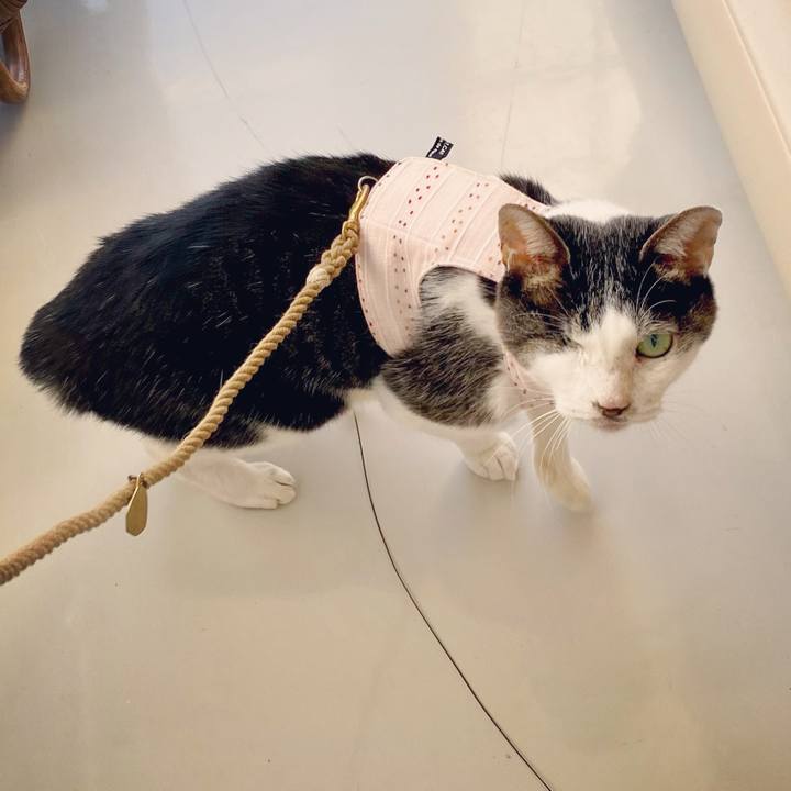 84c28d98 c786 4735 bcc7 4c8ed677308e 1605334671044