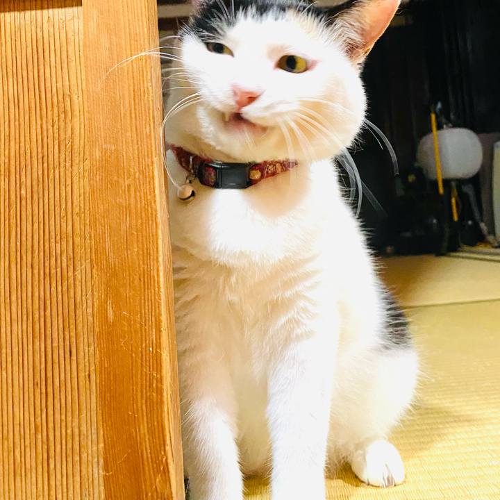 84c2942f 239f 4149 b0bc aa06175f4206 1691360337748