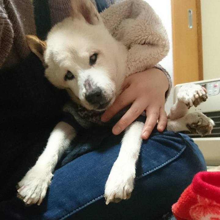 84c2ddfd 3d5f 4aec 8a6e 49dc9e79551d 1543743644748