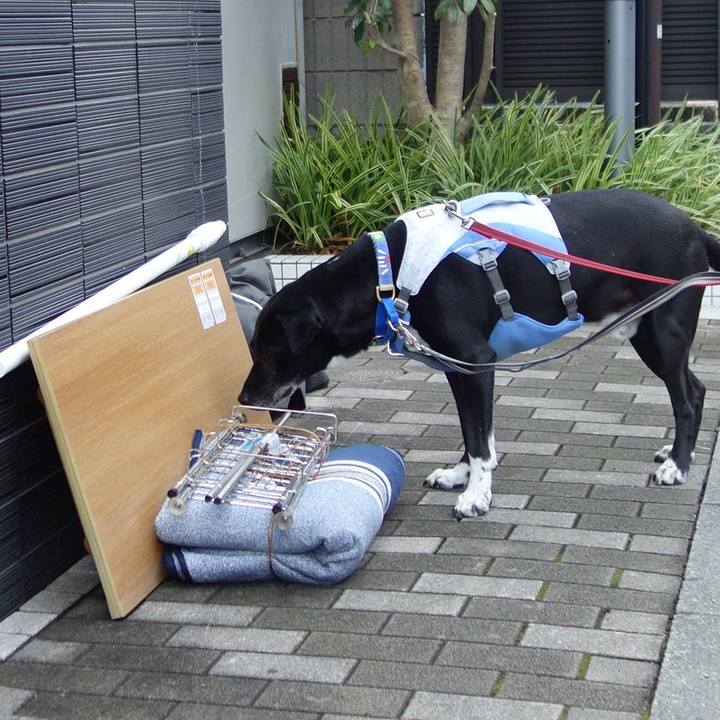 84c2eb8c a62c 416b 9379 045cc4141bd7 1691539081181