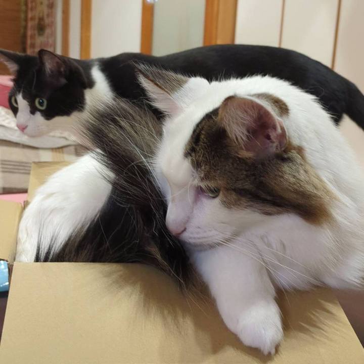 84c314ad 2c05 4bdf bc38 7104b9246ac2 1765708094414