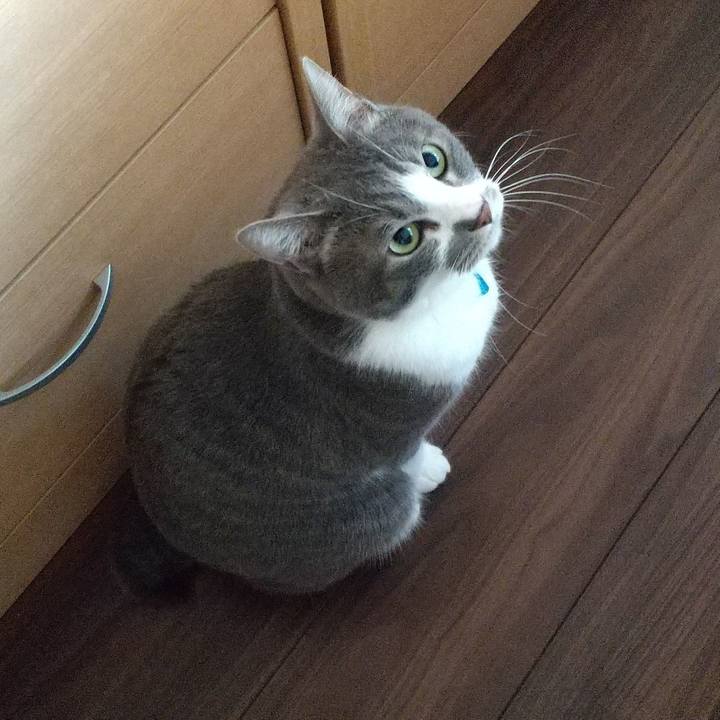 84c33796 ac32 4ebe a314 500e1c8792d4 1648159524722