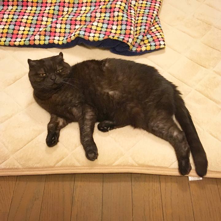 84c337fe a169 42e5 81b6 18760da24ce5 1518786631162