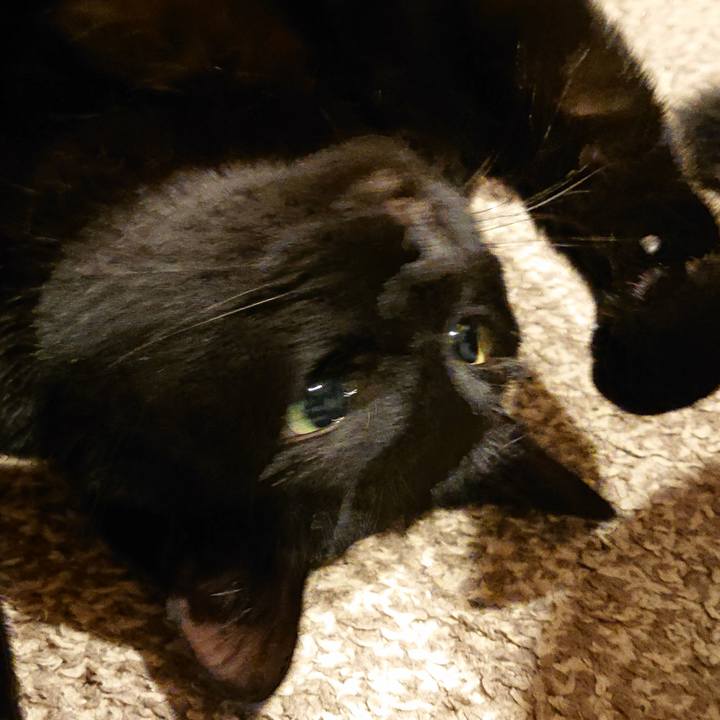 84c3464c 04bb 430e 9d92 a2ca8eea17ba 1575331050306