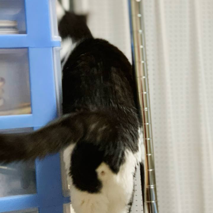 84c374f1 8008 45c7 a347 2f5a9366680a 1598234562856