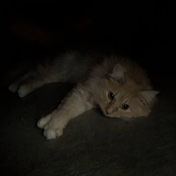 84c3959d b82f 4567 8750 2d9a8ec84786 1772503311095