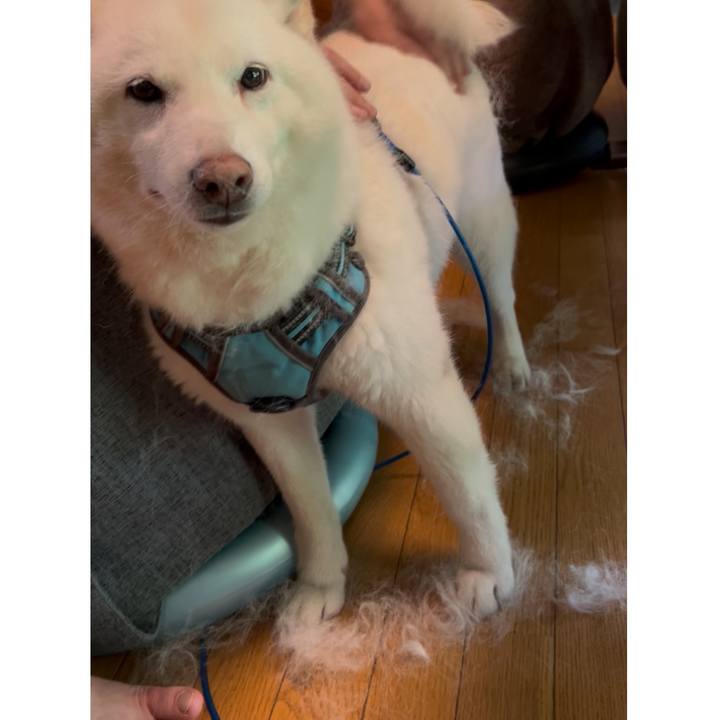 84c3a1af dddc 408b ad70 dbaf6407f7be 1748814423935