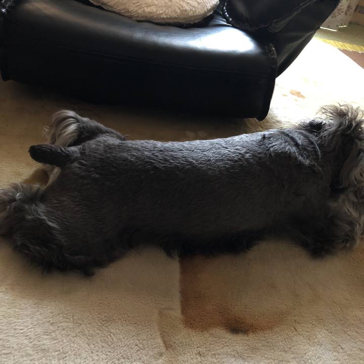 84c3bb82 8de7 402a b75a da75af56ccdd 1529814102026