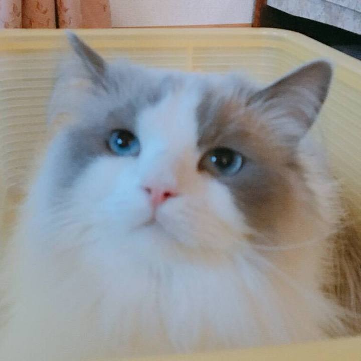 84c3cbd0 d026 4cc6 8917 73ae44d85e68 1574541977068