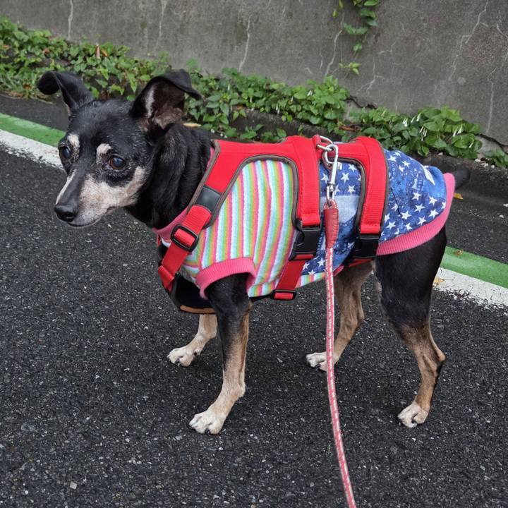 84c417ed fc50 4f4e 9d6b 906c0542f5e9 1757624348416